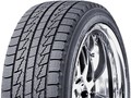 Winguard Ice Nexen